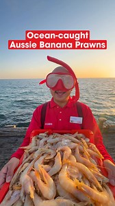 Start sizzling with our delicious MSC-certified Banana Prawns this summer 🏖🍤 | Coles