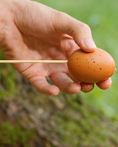 1.6M views · 1.2K reactions | How to Cook Eggs in Camping | Science, Tech and Universe | Facebook