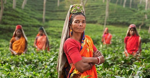 Ein roter Punkt in Indien: Die Bedeutung von Bindi und Tilaka