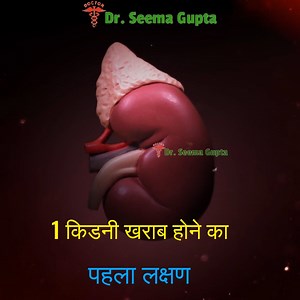 2.8M views · 32K reactions | kidney damage symptoms - किडनी खराब होने का पहला लक्षण #kidneydamagesymptoms #kidney #kidneydonor #KidneyCancer #kidneyhealth #kidneybeans #kidneystones #kidneycancer #kidneytransplant #kidneyfailure | Dr. Seema Gupta | Facebook