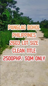 DANAO PANGLAO BOHOL PHILIPPINES CLEAN TITLE LAND FOR SALE 2500 PER SQM ONLY HOT AFFORDABLE DEAL 🇵🇭