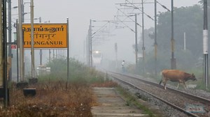 39K views · 447 reactions | 1. 26651 KSR Bengaluru - Ernakulam Vande Bharat Express 2. 20644 Coimbatore - MGR Chennai Central Vande Bharat Express 3. 20671 Madurai - Bengaluru Cantt. Vande Bharat Express TNGR / Thonganur, Tamil Nadu ( Nov 2025 ) #indianrailways #nkcsrailmoments #trainsofindia #VandeBharatExpress | NKCS Rail Moments | Facebook