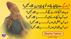 7K views · 330 reactions | "The Influence of Shams Tabrizi: A Look at His Inspirational Quotes" | Parwaana Quotes #ShamsTabrizi #urduquotes #motivationalquotes #inspirationalquotes #motivation | Parwaana Quotes | Facebook