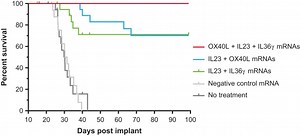 Scientific Workplace 6 Keygen Torrent