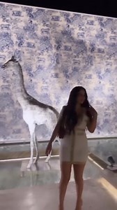 18K views · 305 reactions |  . . . . #behindthescenes | Ramla رملة | Facebook