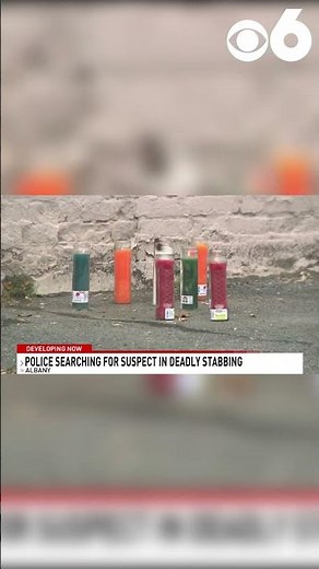Albany police looking for suspect after stabbing turns deadly