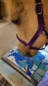 3.2K views · 150 reactions | The most talented equine artist around | Couper the clever horse | Facebook