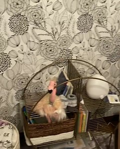 Having a little fun at my friend @travishoward’s new nursery. When mom and baby are away the kids will play. Help me welcome little Lester to the world. 😊😊😊😊 | Leslie Jordan