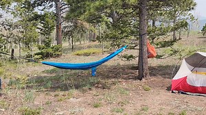 Near Jackson Hole WY #camping #beauty #StarsEverywhere | Gwenn Charvet | Facebook