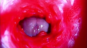 Extreme close-up ASMR head inside wet pussy