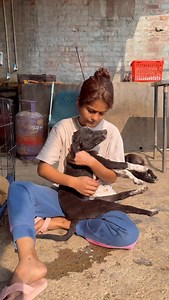 91K views · 7K reactions | - bank account details Account no. 50200079471040 Ifsc code - HDFC0001408 Holder name - street worldz trust Branch - vikaspuri Upi id Yespay.bizsbiz58385@yesbankltd Razorpay link in bio Scanner in highlight | Street_worldz709 | Facebook