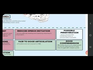 Transcorticol Motor Aphasia, an overview
