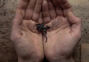 Giles Newman Wood Carving on Reels