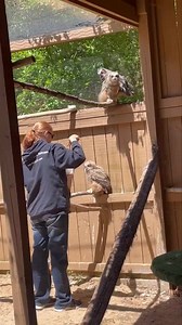 12K views · 221 reactions | We still have to monitor the food intake...