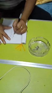 55K views · 2.6K reactions | Wow Ka nice sang drawing ni Polon | Maria Labo | Facebook