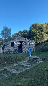 Alors que l’année touche à sa fin, nous prenons un instant pour remercier chacun d’entre vous. Merci pour votre confiance, vos séjours, vos moments partagés ici, au cœur de la nature. Cette année a été faite de rencontres, de souvenirs, de parenthèses hors du temps… et ce n’est que le début. Nous vous souhaitons de très belles fêtes de fin d’année, remplies de douceur, de sérénité et de moments précieux. À très bientôt pour écrire ensemble la suite de l’histoire ✨ #annee2025 #nouvelan #bergerie 