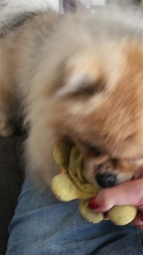 madame_tj บน TikTok