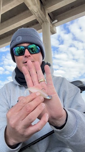 Coming at you with another Torwick’s Friday Fishing Report for Lake Austin! Hot baits this week were: -6th Sense Hogwalla -5” Senko -6th Sense Ozzie -Zoom Speed Craw #lakeaustin #lakeaustinbassfishing #austinfishingguide | Torwick's Guiding Service