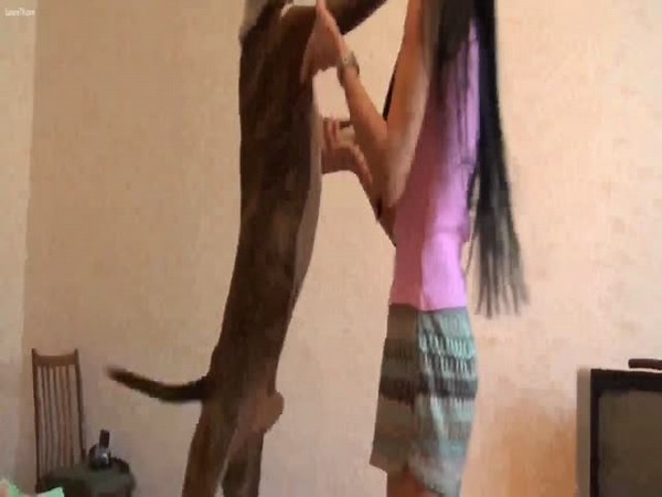 Hot petite teen enjoys sex with her dog while parents are away in amateur bestiality video