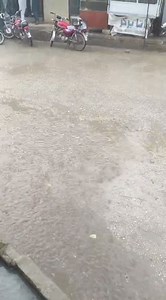 موسیٰ خیل، ضلع #میانوالی میں جاری تیز #بارش کے مناظر۔ ویڈیو بشکریہ زبیر خان HEAVY #RAIN in Musa Khel, district #Mianwali | Weather Busters Pakistan موسم کا حال