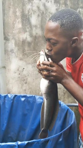 4.7K views · 34 reactions | J'attrape un énorme poisson chat à main nue ✋ | Jordan Talom enterprises | Facebook