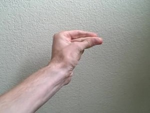 snap - Wiktionary, the free dictionary