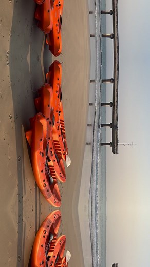 Life in Port Elizabeth RULES! 🤿 #scuba #scubadiver #diving #prodive #scubapro #boat #outdoors #kayak #portelizabeth #hobiebeach #ocean #beachlife #padi | Pro Dive Port Elizabeth