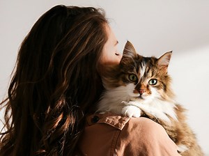 7 Katzen für Allergiker, mit denen du trotz Allergie kuscheln kannst