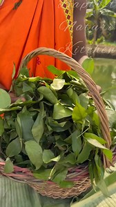 72K views · 2.7K reactions | How To Cook Authentic Afang Soup | Baptist Nature kitchen | Facebook