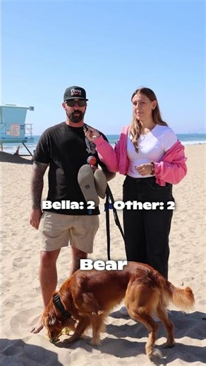 What do you think the most overused pet name is? 👀
