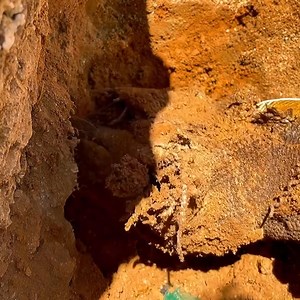 43K views · 118 reactions | Treasure hunters find a 300-year-old eagle made entirely of pure gold. | Hazine Avcısı | Facebook