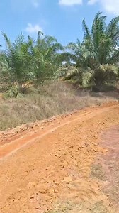 22K views · 293 reactions | Caterpillar 12G #GreyderOperatörleri #Caterpillar #CAT_12G #Operatör #Greyder #keşfet | Greyder Operatörleri | Facebook