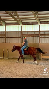 19K views · 1.3K reactions | Gunner  | RRR Sanctuary | Facebook