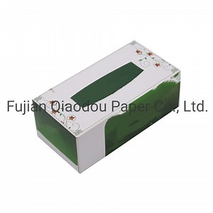 [Hot Item] 2ply 400PCS Safe Private Label Soft Pack White Eco-Friendly Box Facial Tissue