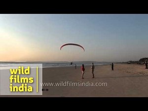 Powered paragliding or paramotoring in Goa