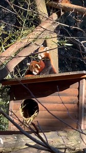 35K views · 1K reactions | Nekateri pravijo, da lahko vidiš toliko...