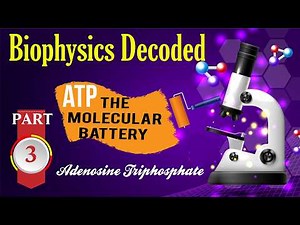 ATP (adenosine triphosphate) The Molecular Battery That Keeps You Alive EP 3 Biophysics