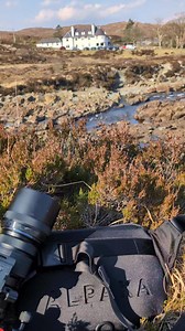 " Chillin' on the Isle of Skye " . . #mooch #LandscapePhotography #scotland #bridge #skye #isleofskye | Phil Metcalfe Photography