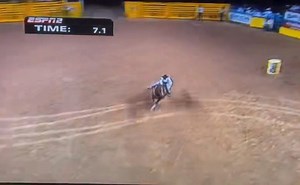 NFR round 1 tonight means I’m scrolling The left lead videos to rewatch some of the legends in the past. My 2025 colt by Feel The Sting comes from the maternal line of Frosty Feelins (out of a $30,000 earning daughter of her, by Fiestas Dynasty) and getting to watch her win a round is so special. This mare could make mistakes in a run and consistently make up for it. I truly believe her and Dyna (Dynas Plain Special, her dam, and dam to JL Dash Ta Heaven) have been so overlooked over the years. 