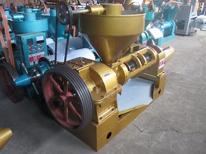 [Hot Item] Sunflower Oil Press Machine Peanut Oil Making Machine