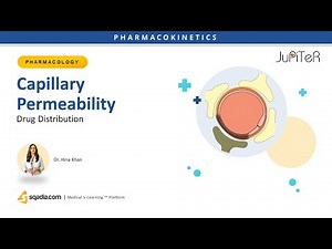 Drug Distribution | Capillary Permeability
