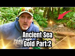 Ancient Sea Bed GOLD deposits in a Road side Mountain Creek PART:2