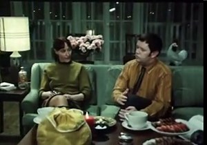 Swedish Marriage Manual (1969)
