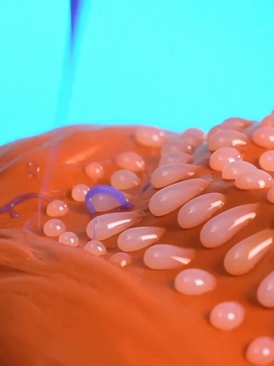 DIY Predator Halloween Costume for Scary Cosplay