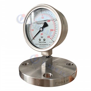 [Hot Item] Lower Cost Diaphragm Pressure Gauges Wide Range Ss Pressure Gauge