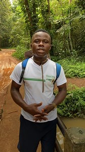 "Il y a des personnes qui croient aux esprits de l'eau. Elles venaient dans la forêt pour faire leurs sacrifices." Jules, 28 ans, est guide dans la forêt du Banco. Il y parcourt près de 9km tous les jours. Pour Brut, il nous révèle quelques secrets du "poumon vert" d'Abidjan. | Brut Afrique