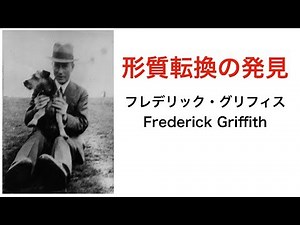 グリフィスの実験