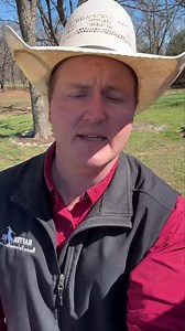 2024 Futurity Season Announcement | American Bucking Bull Inc.