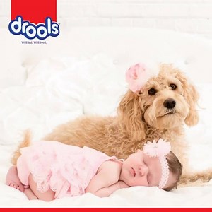 92 reactions · 20 shares | How beautiful to find a heart that loves you, without asking you for anything, but to be Okay!! ❤️ | Drools | Facebook