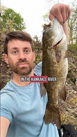 Fishing the Kankakee River ￼🎣 #fishing #fishinglife #fishingvideo #bassfishing #riverfishing